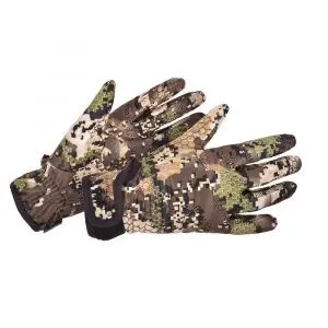 S-700-1, Forest, 1