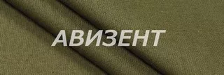avizent.jpg