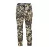S-124-1, Forest, 04